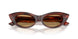 511273 - Tortoise - Brown
