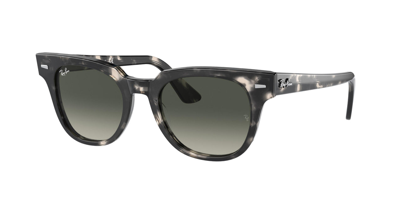 Ray-Ban Meteor 0RB2168 Sunglasses