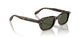 174152 - Tortoise - G-15
