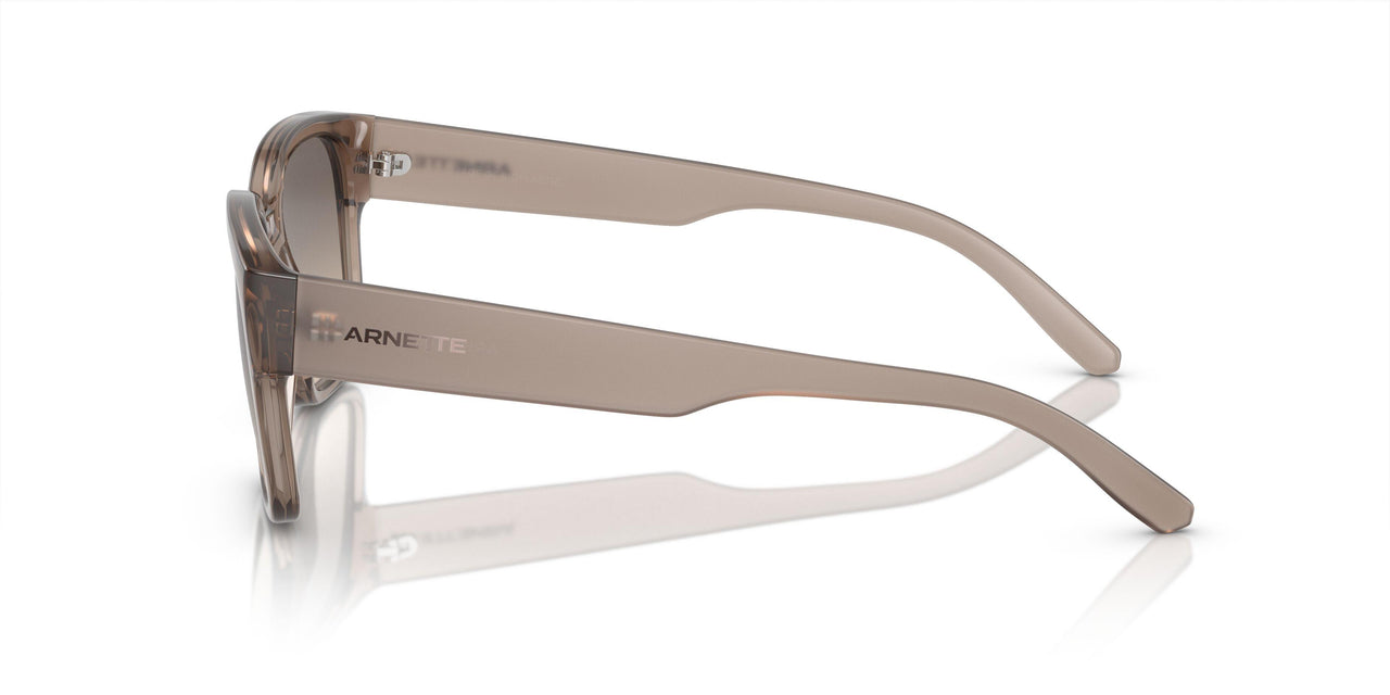 290613 - Brown - Gradient Brown