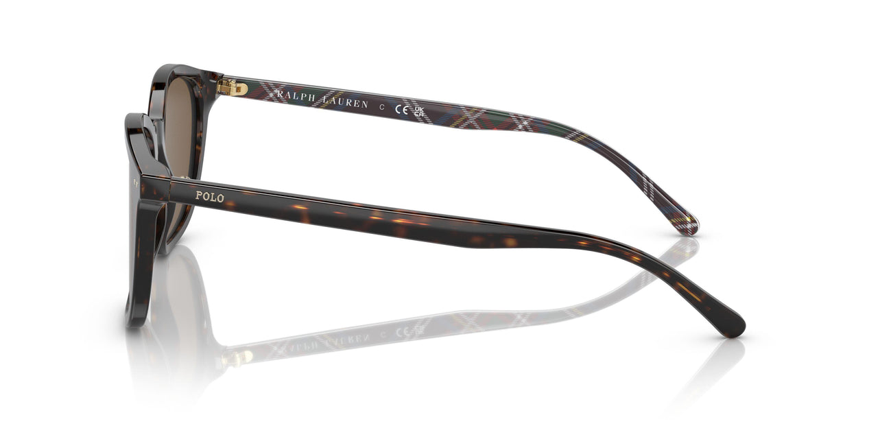 500373 - Brown - Brown