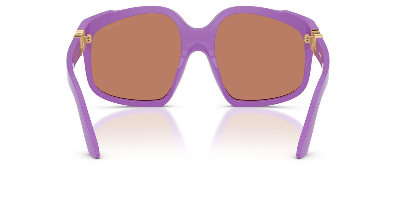 25D90Q - Violet - Brown