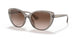 824013 - Brown - Gradient Brown