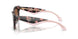 623013 - Tortoise - Brown Gradient
