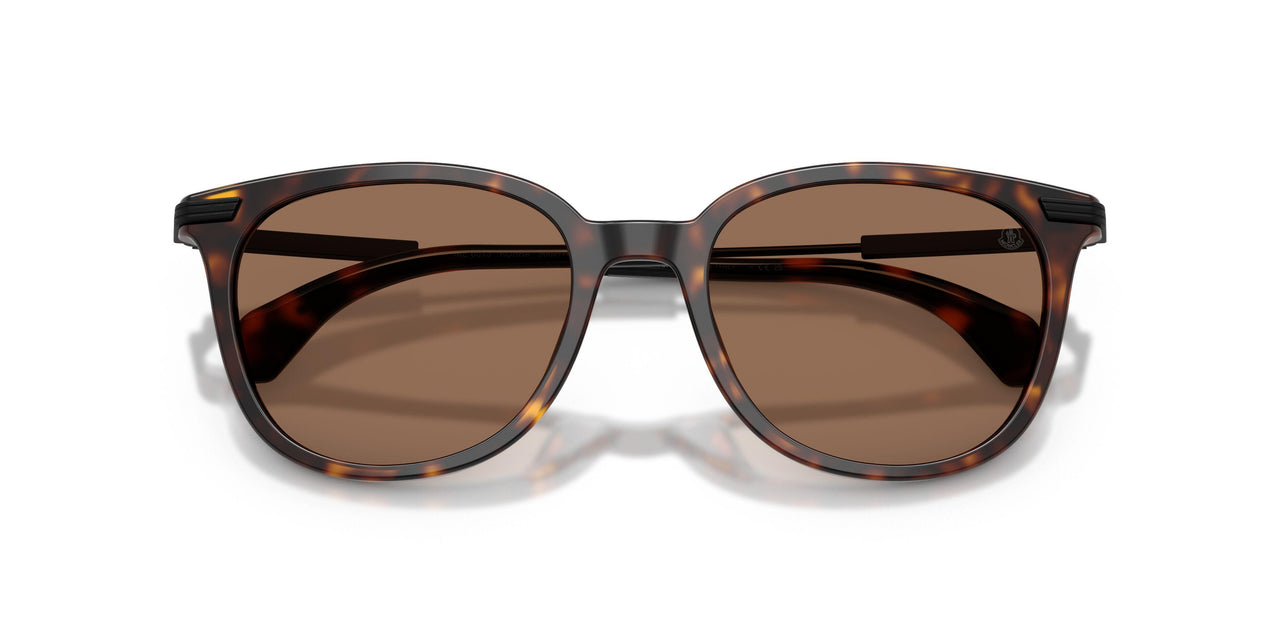 300273 - Tortoise - Solid Brown