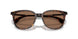 300273 - Tortoise - Solid Brown