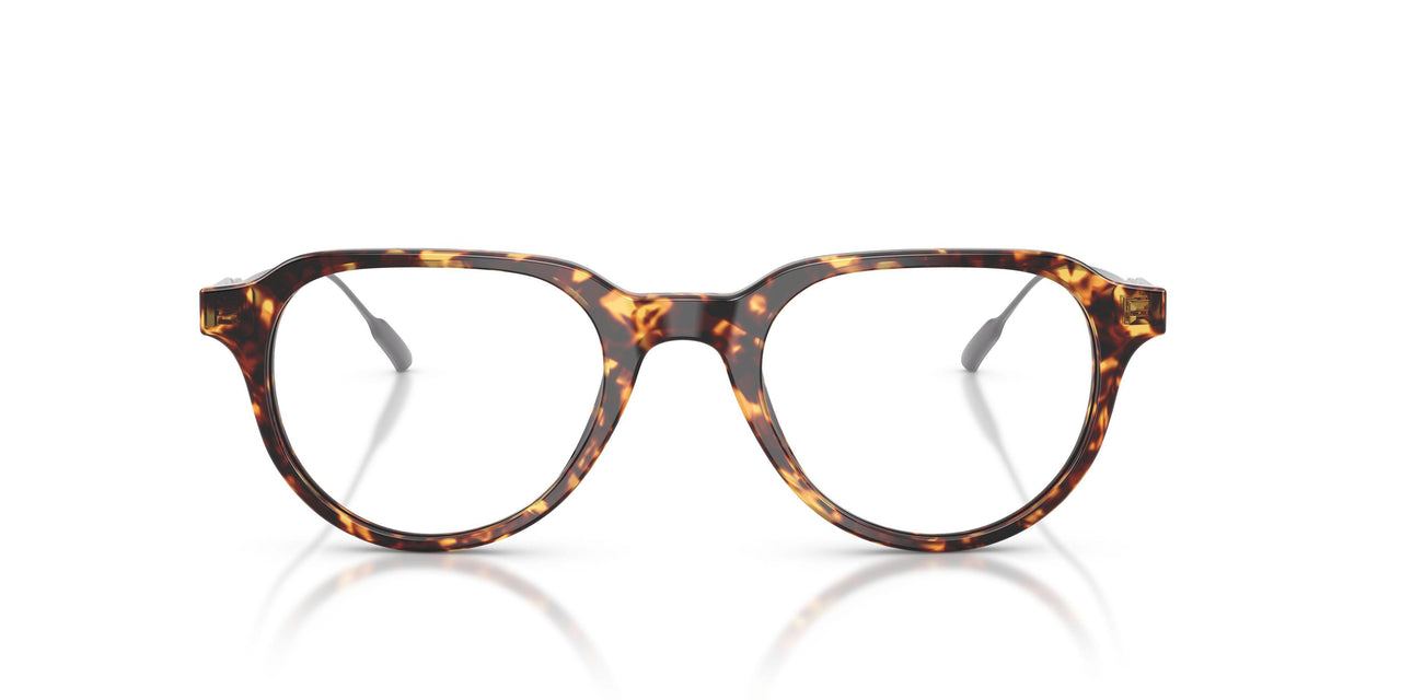 3038 - Tortoise