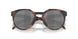 924225 - Tortoise - Prizm Black