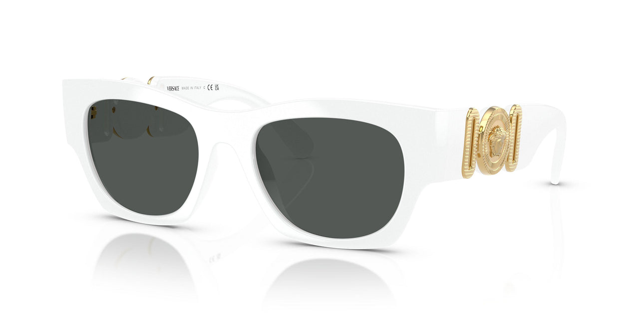 Versace 4479U Sunglasses