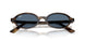 135980 - Tortoise - Dark Blue