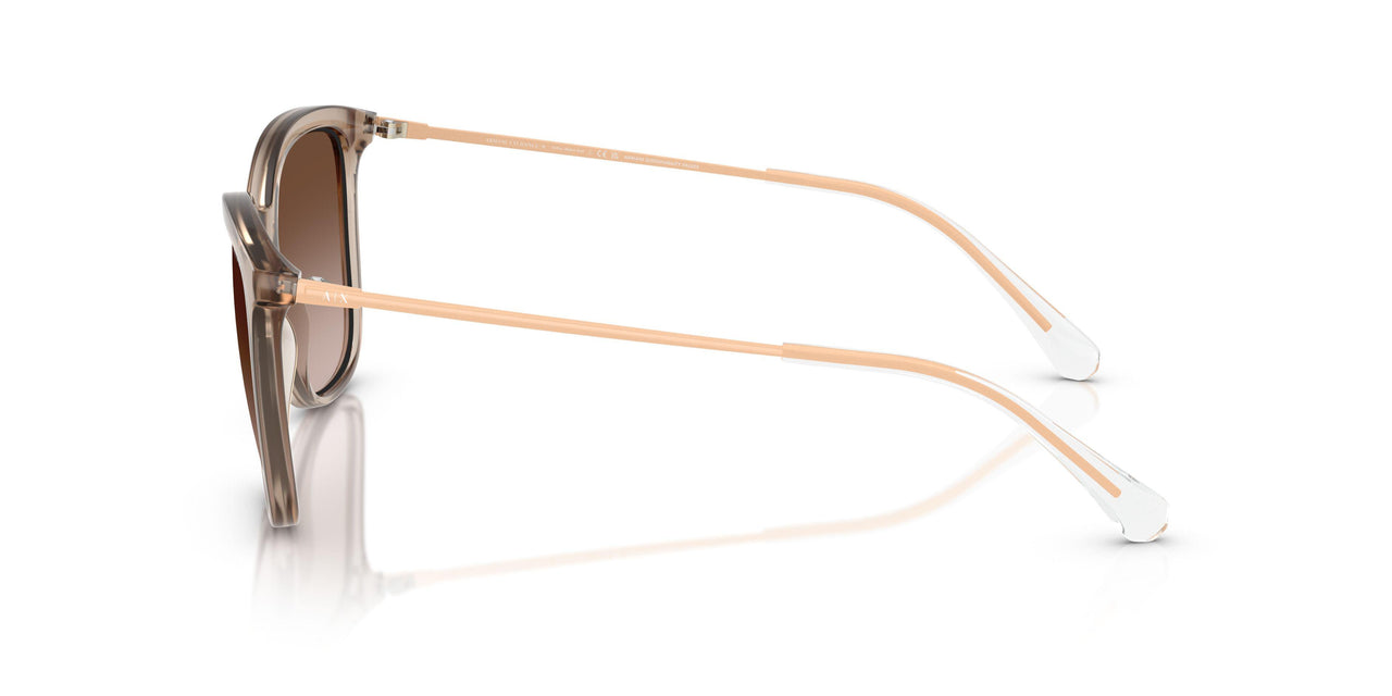 836613 - Brown - Gradient Brown