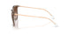 836613 - Brown - Gradient Brown
