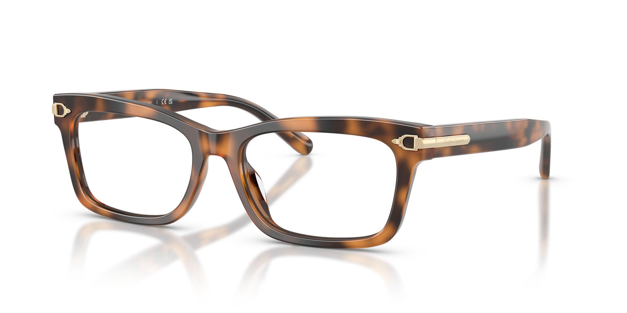 6089 - Tortoise