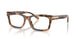 6089 - Tortoise