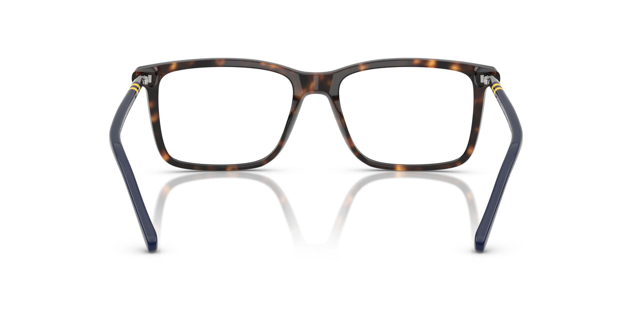 5003 - Tortoise