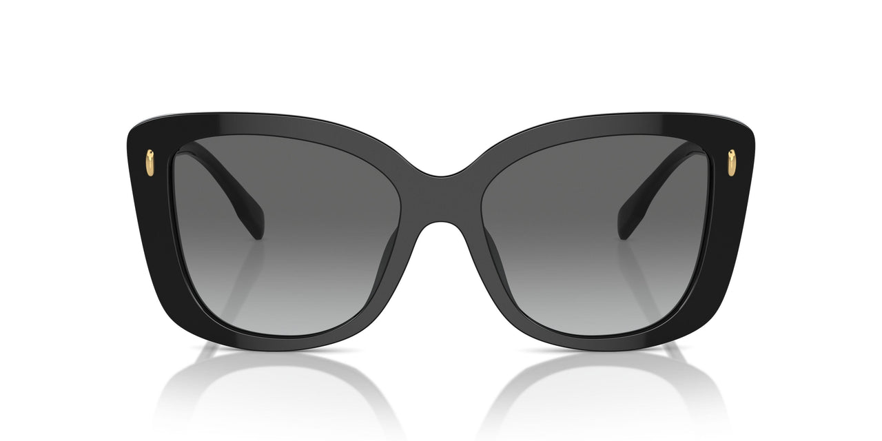 170911 - Black - Light Grey Gradient Dark Grey