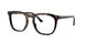 Ray-Ban 2210V Eyeglasses