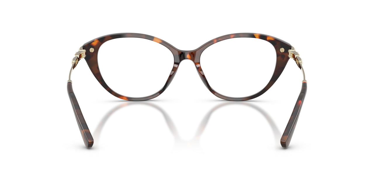 4031 - Tortoise