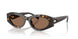 198173 - Tortoise - Brown
