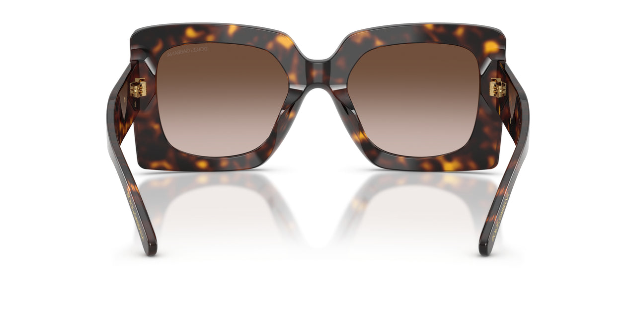 502/13 - Tortoise - Gradient Brown