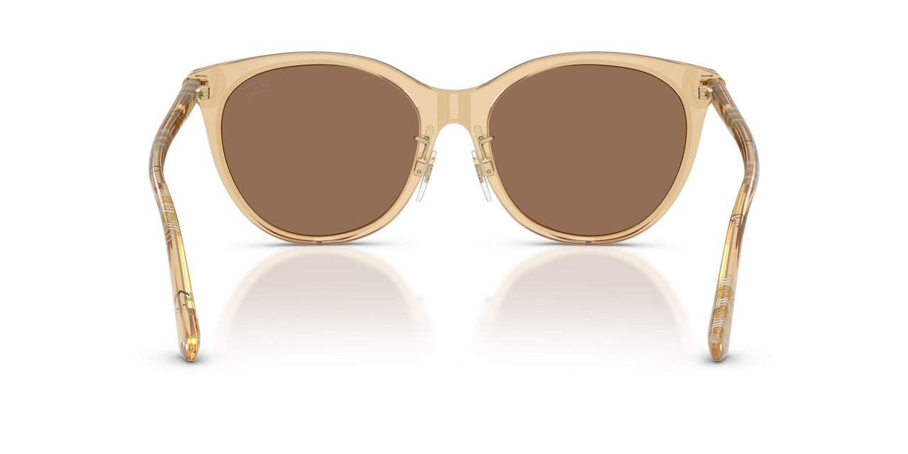 416773 - Beige - Dark Brown