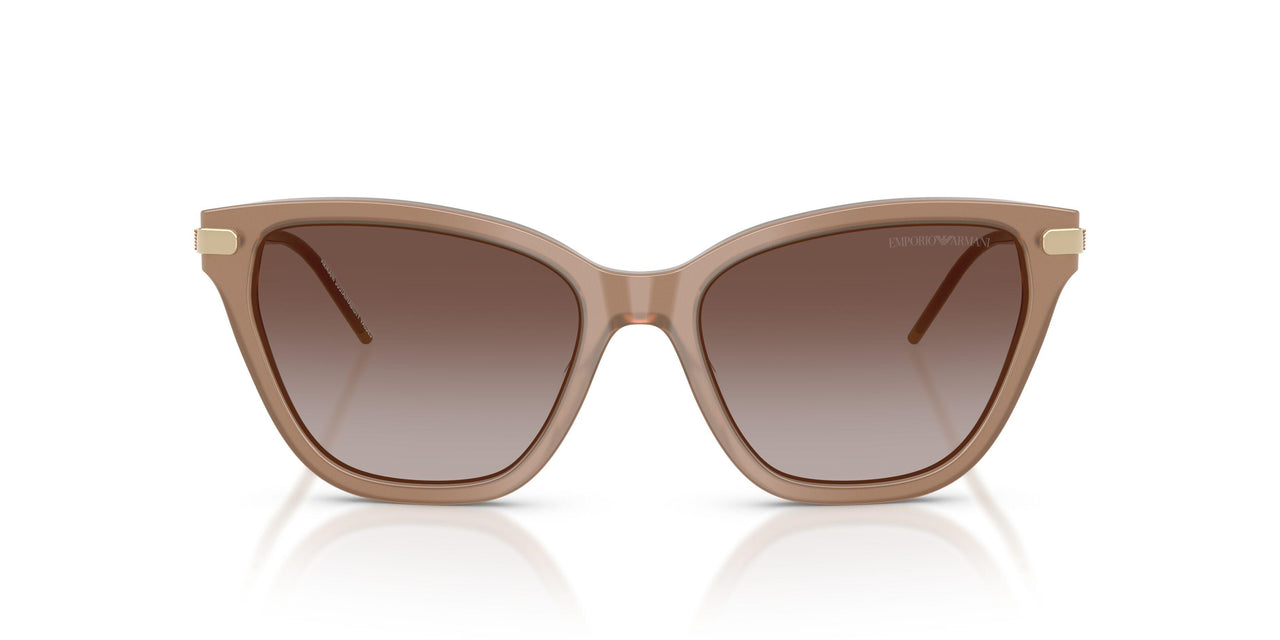 626313 - Brown - Gradient Brown