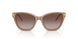 626313 - Brown - Gradient Brown