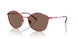 514573 - Violet - Dark Brown