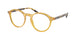 Polo 2246 Eyeglasses