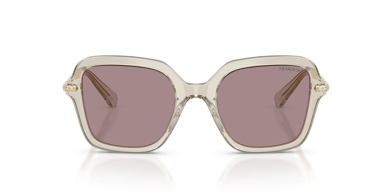 3003LA - Brown - Violet
