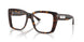 5002 - Tortoise