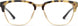 1017852IK5416 - Golden Tort