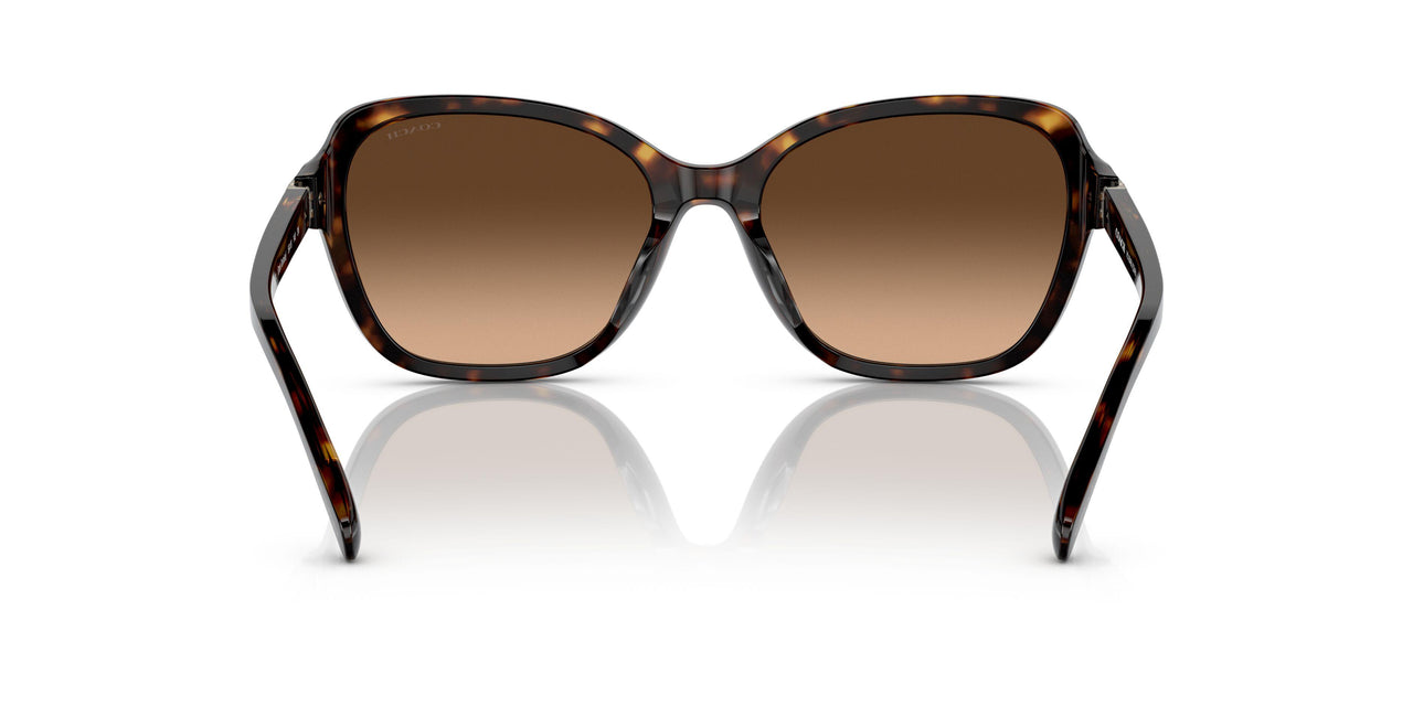 512074 - Havana - Brown Gradient
