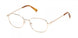 GUESS JEANS 50009 Eyeglasses