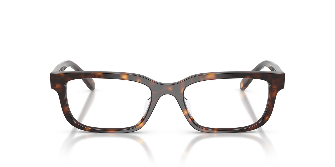 W656 - Brown