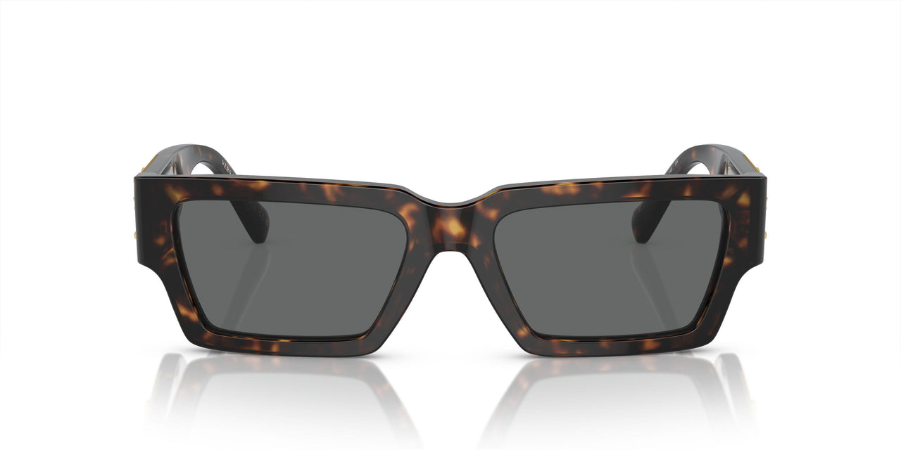 108/87 - Tortoise - Dark Grey
