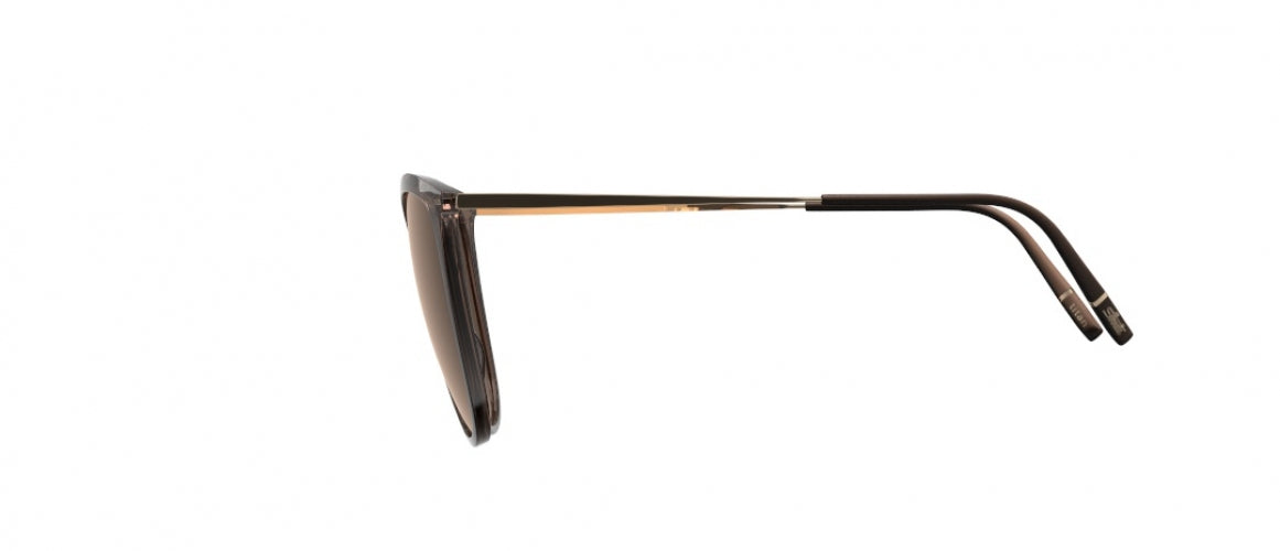 6230 - Brown / Gold - Glossy Caramel Mirror