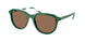 Polo 4225 Sunglasses