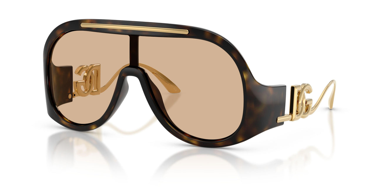 502/93 - Tortoise - Brown