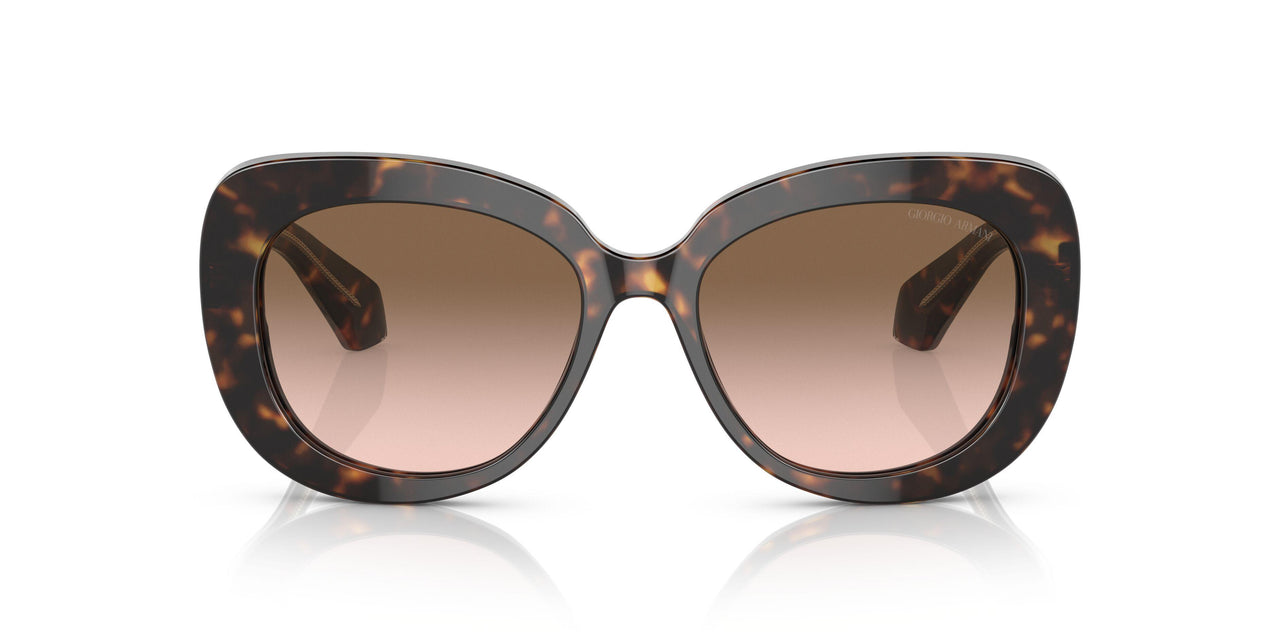 587951 - Havana - Gradient Brown