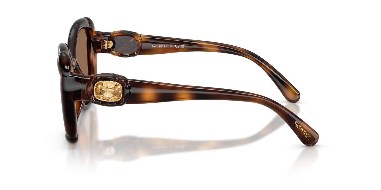 100273 - Tortoise - Dark Brown