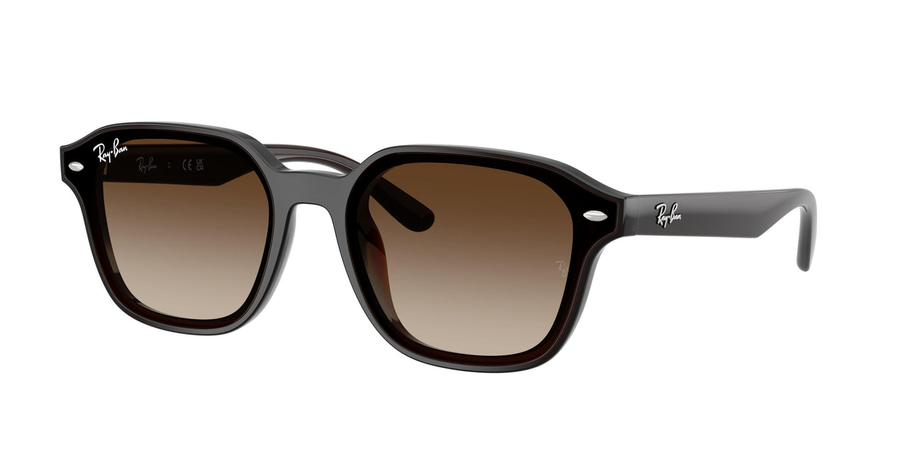 Ray-Ban 4458D Sunglasses