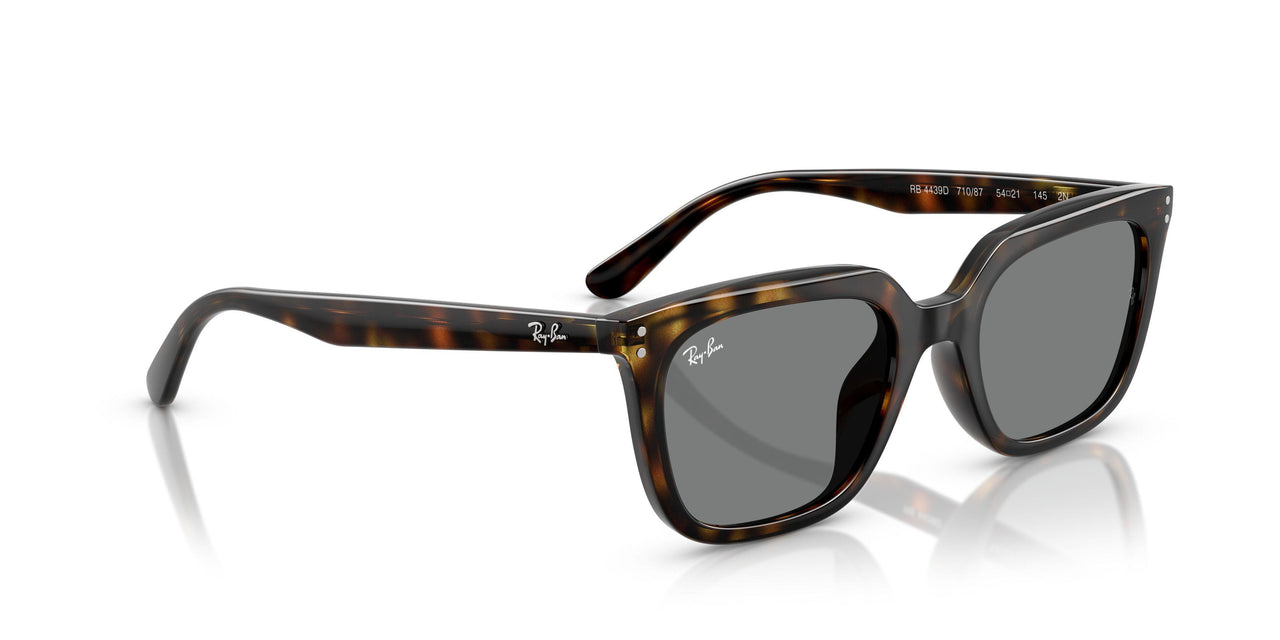 710/87 - Tortoise - Dark Grey