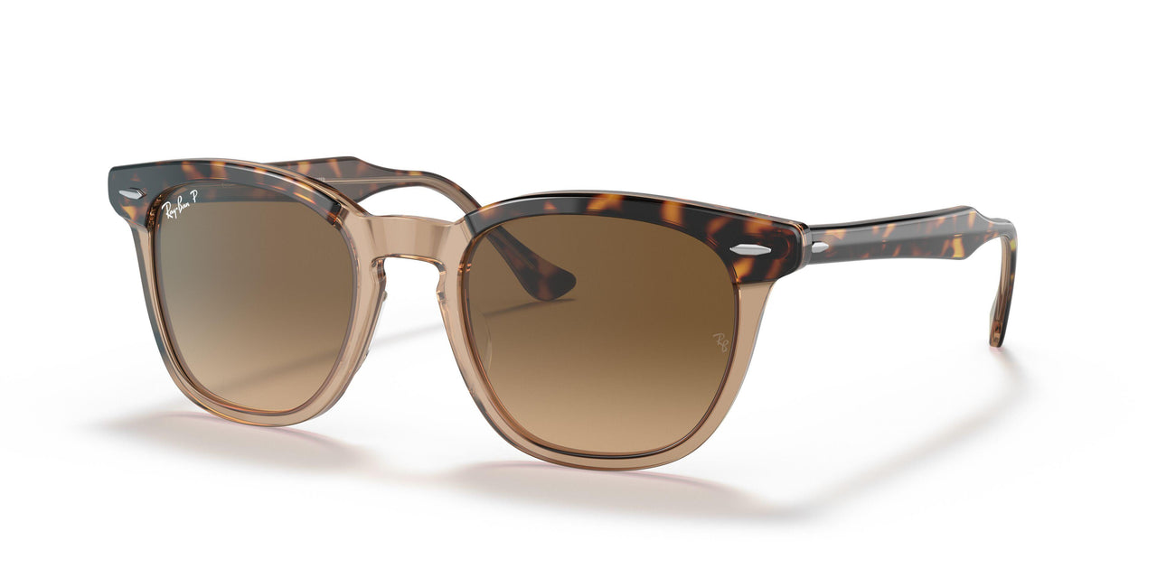 1292M2 - Havana - Brown Gradient Polar