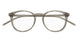 025 - Brown - Transparent