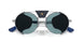 1139P1 - Silver - Green Polar