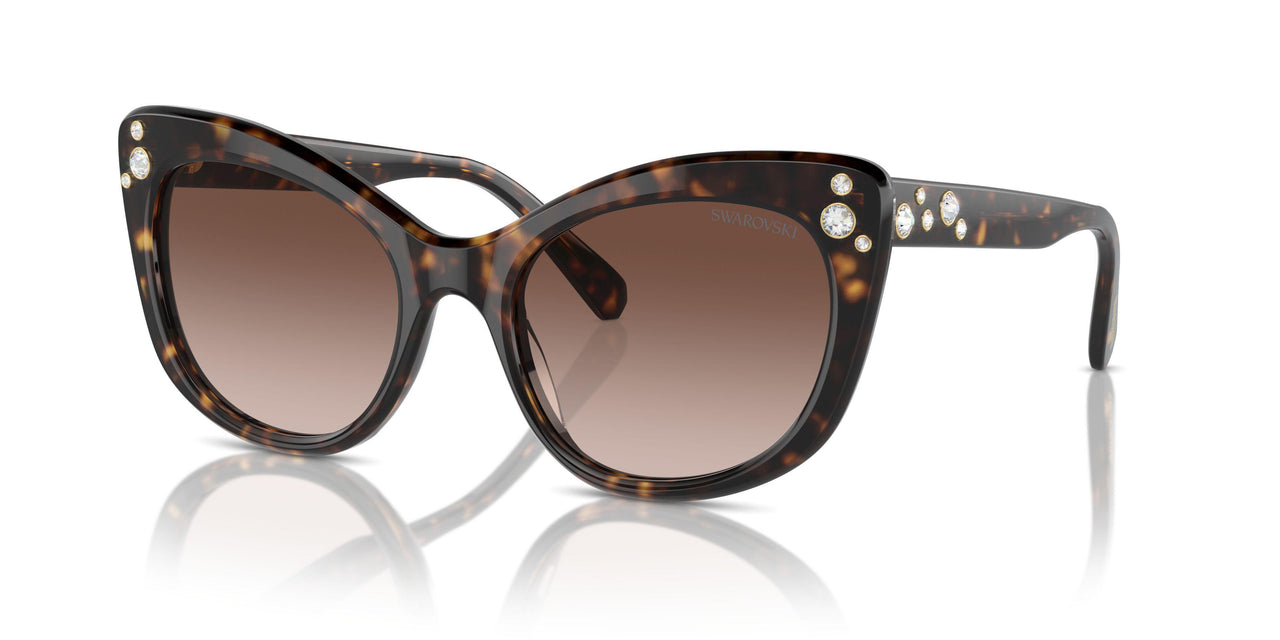 100213 - Tortoise - Gradient Brown