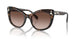 100213 - Tortoise - Gradient Brown
