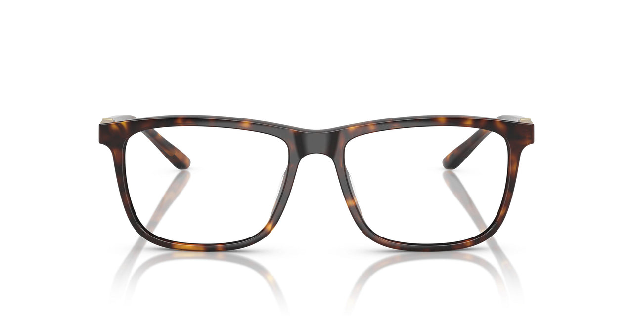 6161 - Tortoise