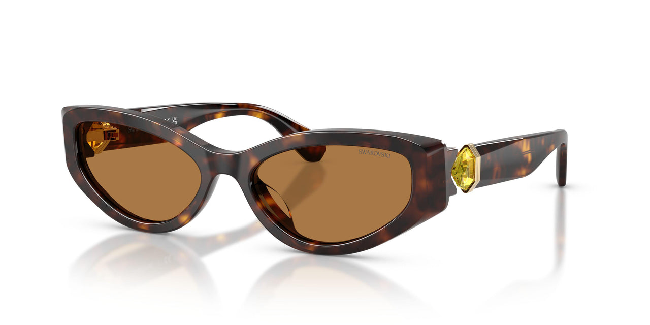 100273 - Tortoise - Bronze